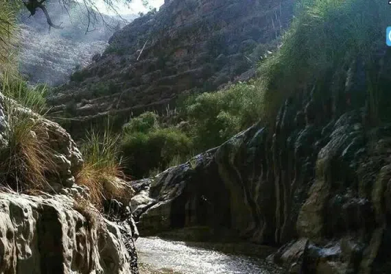 پهنابه نی ریز