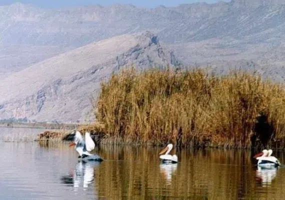 منطقه شکار ممنوع بصیران