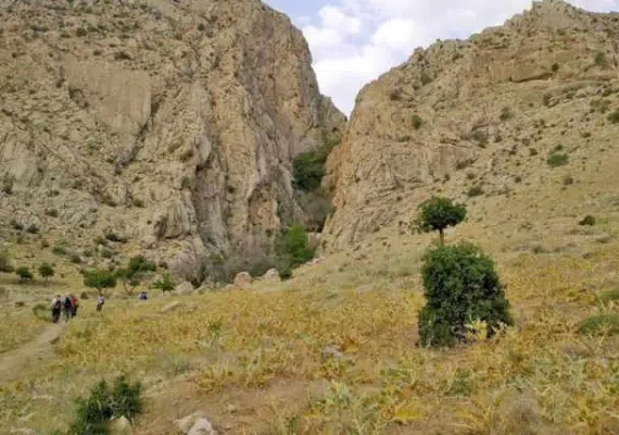 گردشگاه چشمه سلمانی