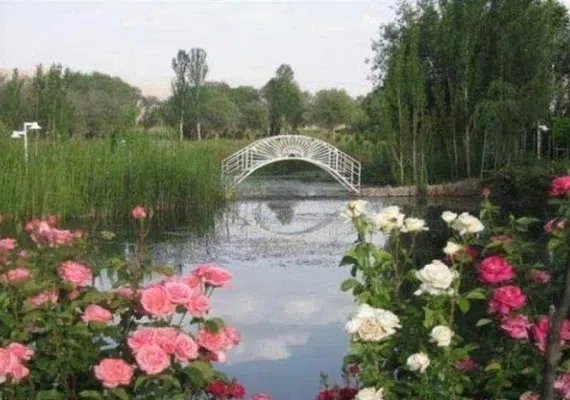 باتلاق گوربهرام اقلید
