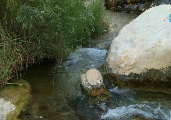 پهنابه نی ریز