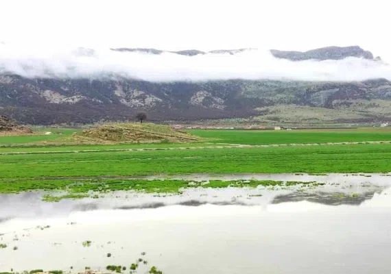 دریاچه ارژن