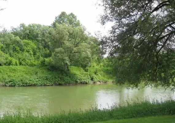 بهشت گمشده