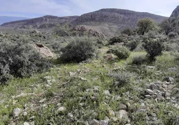 پارک ملی و پناهگاه حیات وحش بختگان