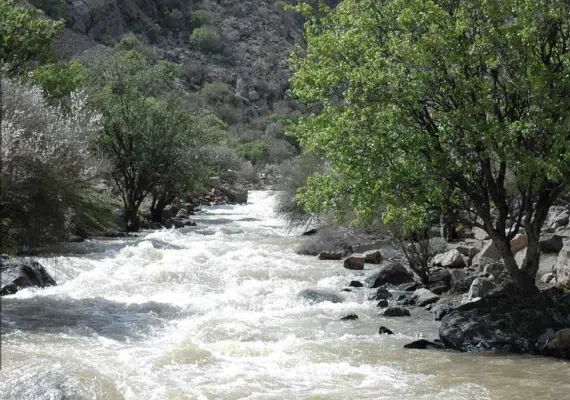 پارک ملی و پناهگاه حیات وحش بختگان