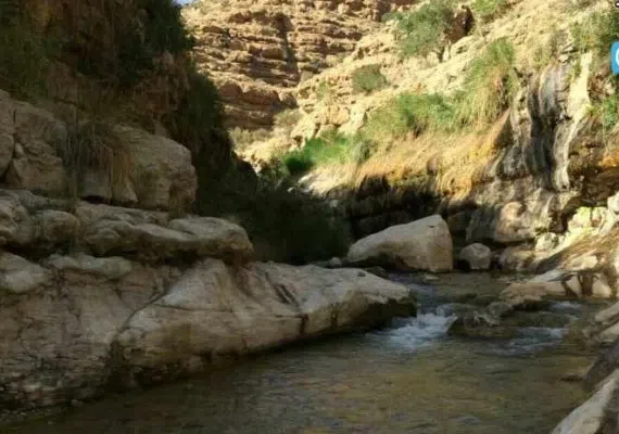 پهنابه نی ریز