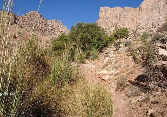 پارک جنگلی استهبان