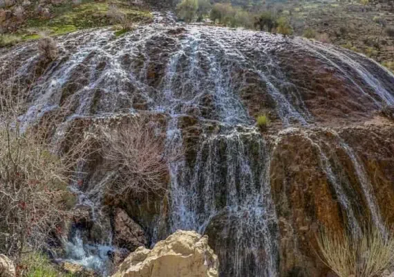 چشمه بشر نی ریز