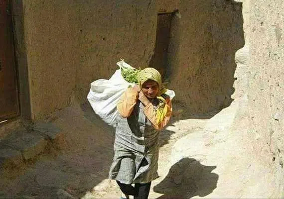 روستای ییلاقی آرک