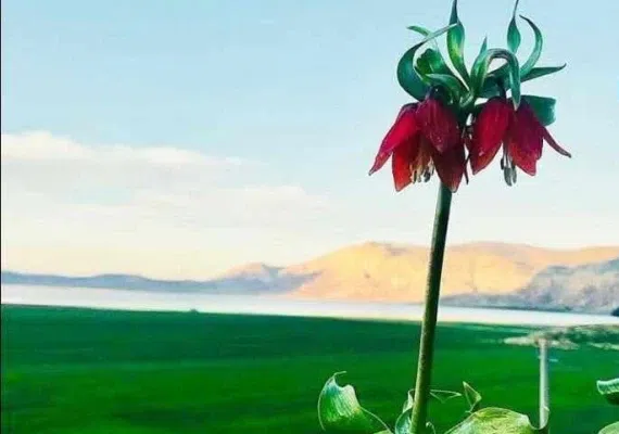 منطقه حفاظت شده ارژن و پریشان