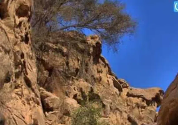 تنگه عالی محمد