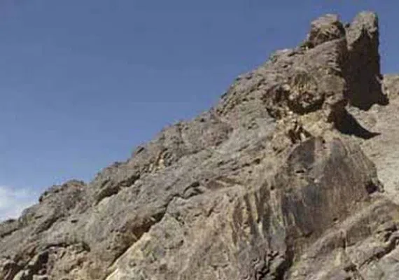 کال جنگال زمان آباد بیرجند