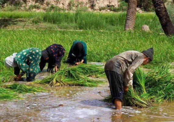 روستای ازمیغان طبس