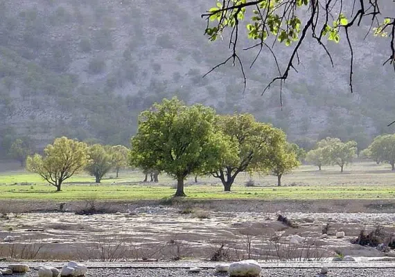 دشت برم کازرون