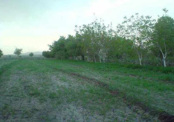 روستای گل خوسف