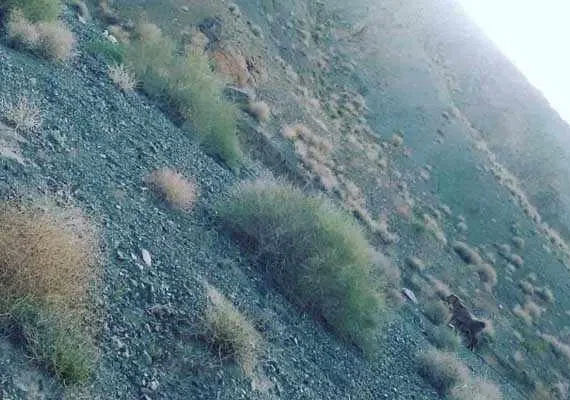 روستای اسفهرود