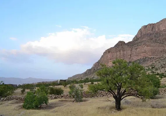 پلنگان نی ریز