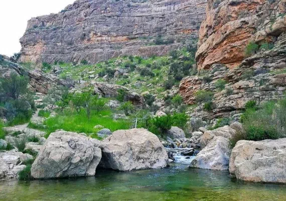 پلنگان نی ریز