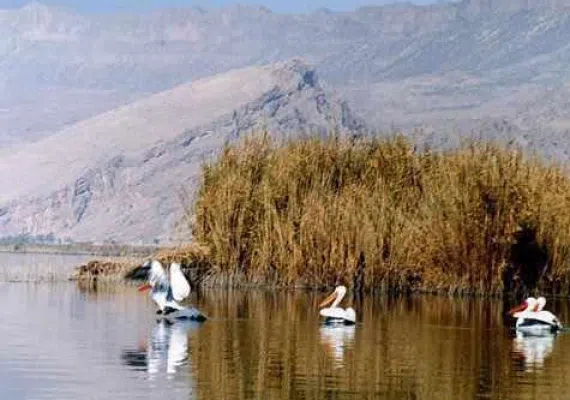 دریاچه پریشان