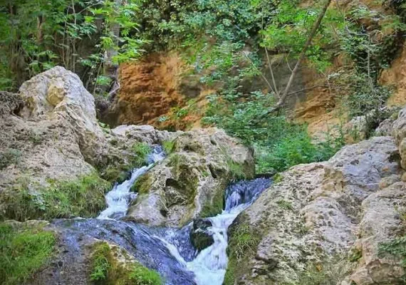 بهشت گمشده