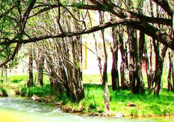 چشمه شش پیر شیراز (سپیدان)