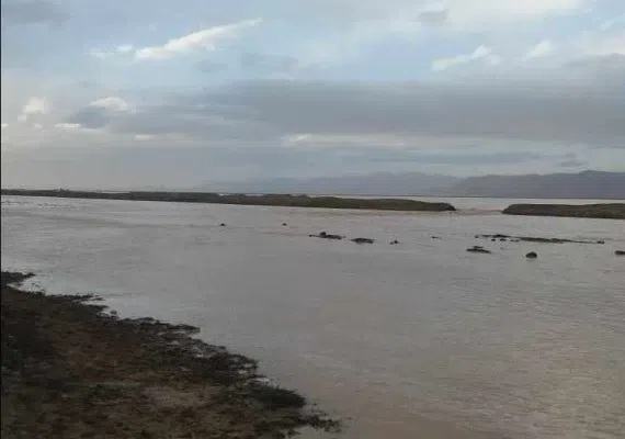 منطقه شکار ممنوع بصیران