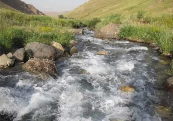 گردشگاه چشمه سلمانی