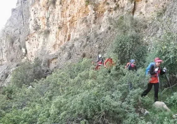 امام زاده سبزپوشان شیراز