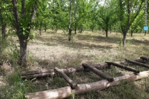 منطقه طبیعی چهاربرج