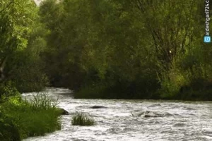 گردشگاه بند