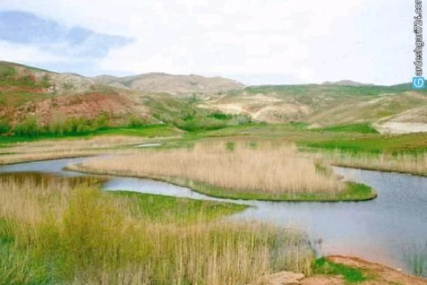 چمن متحرک چملی