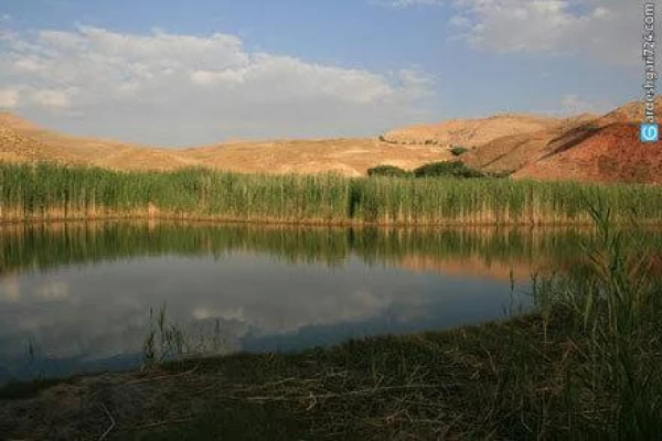 چمن متحرک چملی