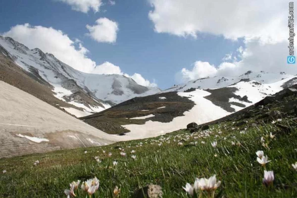 کوه الوند، طبیعت بکر وشنوه