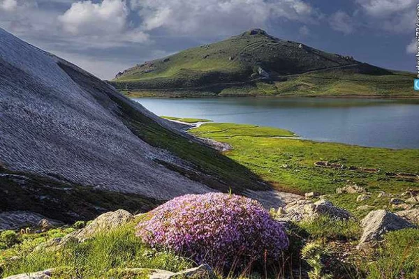 برکه دالامپر