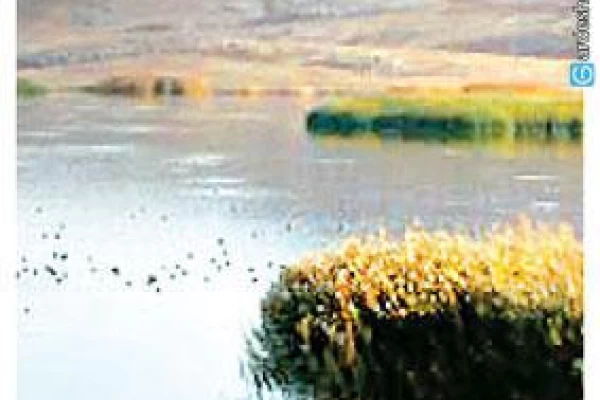 تالاب بهشت معصومه، تنها تالاب دائمی قم
