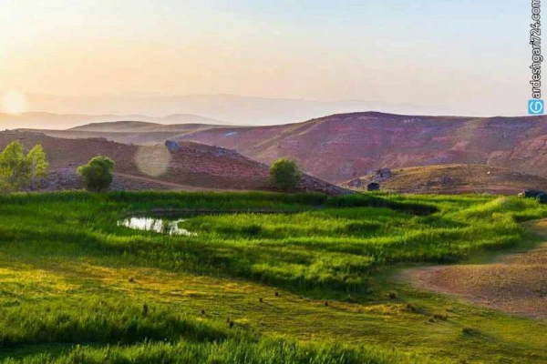 چمن متحرک چملی