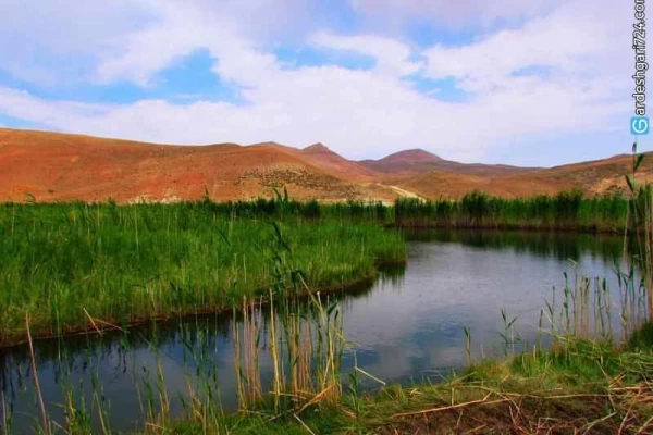 چمن متحرک چملی