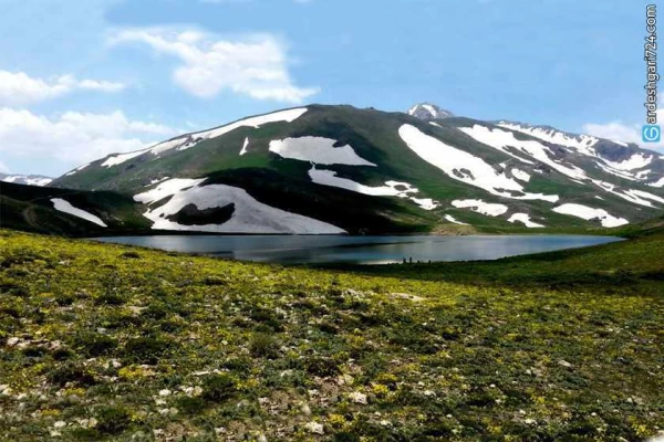 برکه دالامپر