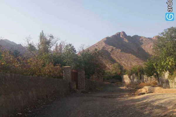 کوه الوند، طبیعت بکر وشنوه