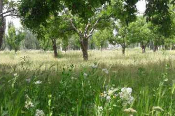 منطقه طبیعی چهاربرج