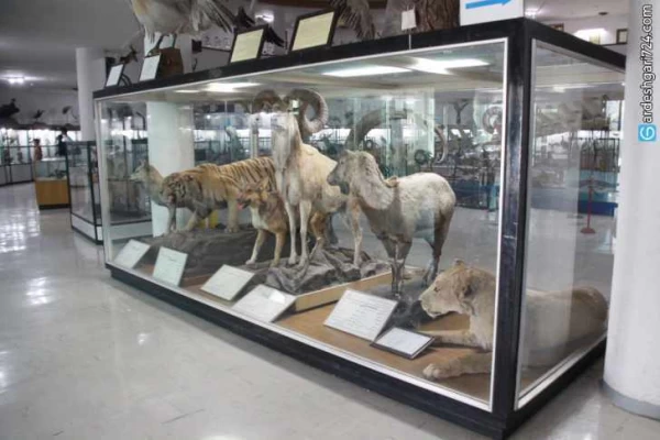 موزه تاریخ طبیعی شیراز