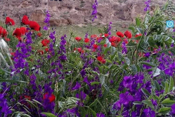 غار فخریگاه، فقرگاه