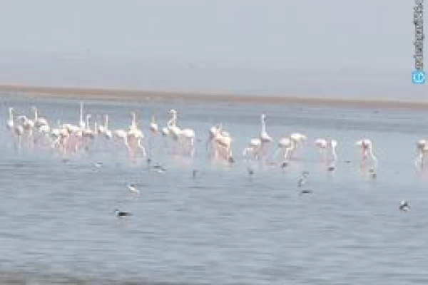 تالاب بهشت معصومه، تنها تالاب دائمی قم