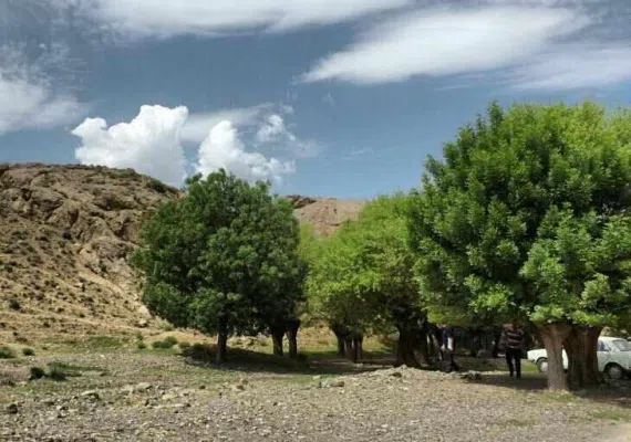 دره سلیمان قم (دره برفی)