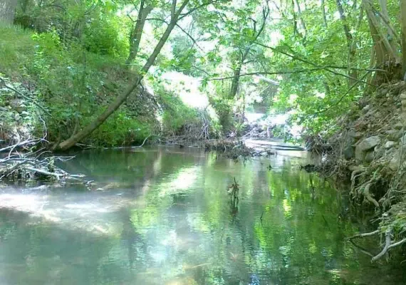 آبشار زیبای نوقاهان