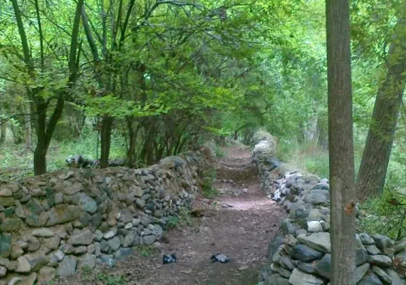 آبشار زیبای نوقاهان