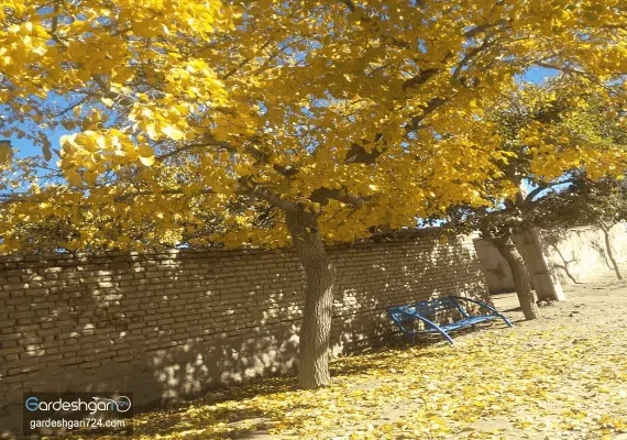 اقامتگاه بوم گردی ثامن