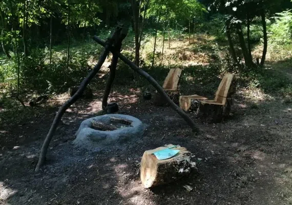 کلبه درختی در جنگل هیرکانی