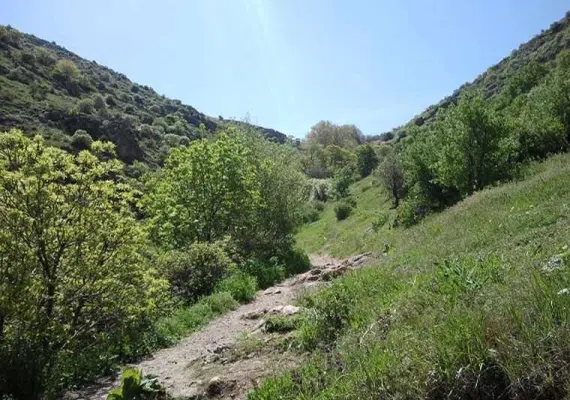 گردشگاه سلطان یعقوب