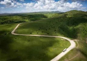 جنگل فندقلو